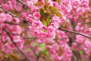 南京鼓楼区线下个人借款平台一站式服务，轻松解决资金难题