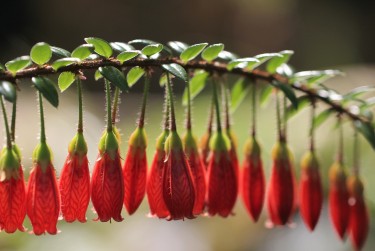 南京鼓楼区零用贷短借：轻松解决临时资金需求