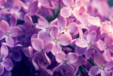 南京鼓楼区企业急用钱贷款攻略：快速融资解燃眉之急